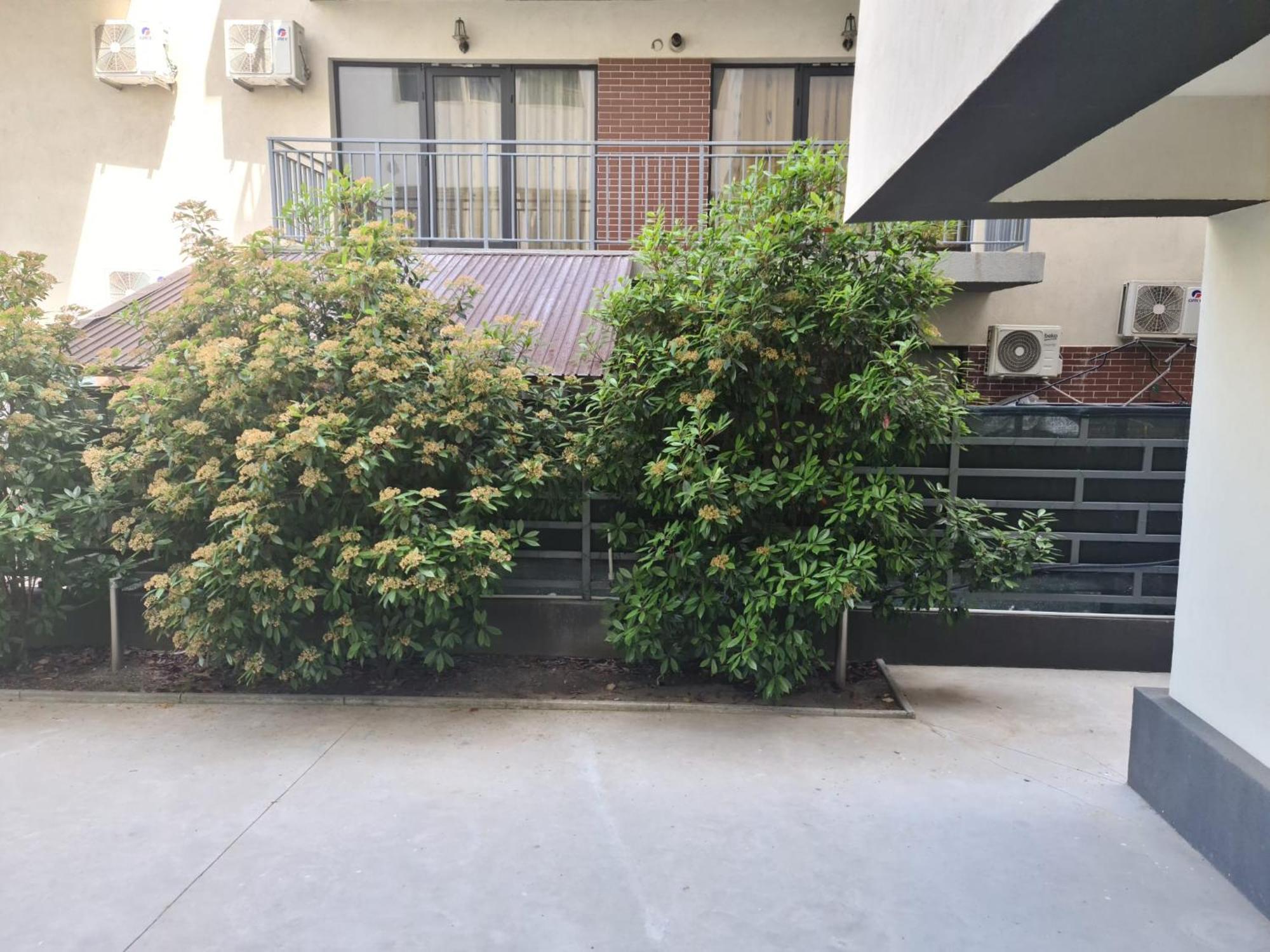 Apartament Deea Navodari Dış mekan fotoğraf